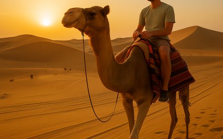 Top Reasons to Try a Sunrise Desert Safari in Riyadh