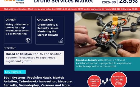 Drone Services Market Analysis 2025–2030: Size, Share & Future Outlook