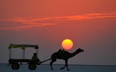 Explore Culture & Heritage with Affordable Bhuj Tour Packages