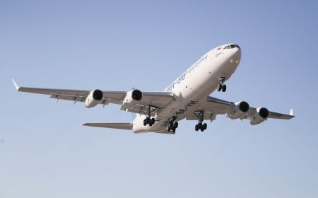 Calling a Real Person: Frontier or Southwest—Which Responds Faster?