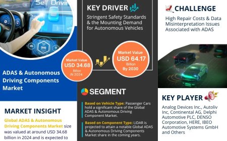 ADAS & Autonomous Driving Components Market Analysis 2025–2030: Size, Share & Future Outlook