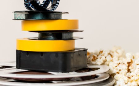 Benefits of Using High-Quality Hydraulic Oil Seals in Heavy Machinery