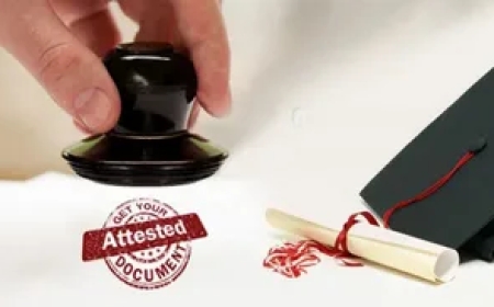 Choose the Right Service Provider for Embassy Attestation UAE