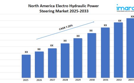 North America Electro Hydraulic Power Steering Market Size, Demand, Trends and Report 2025–2033