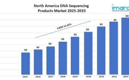 North America DNA Sequencing Products Market Size, Demand, Trends and Report 2025–2033