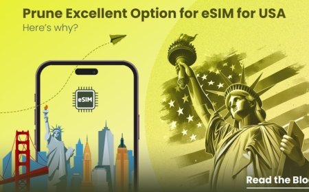Buy United states eSIM Online