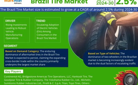 Brazil Tire Market Analysis 2024–2030: Size, Share & Future Outlook