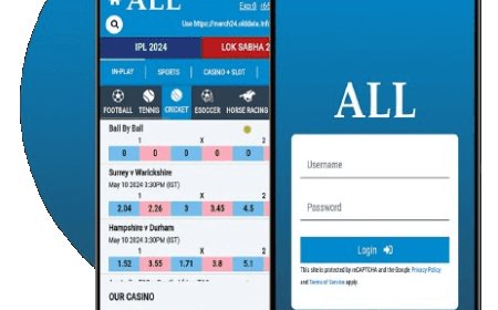 Is Allpaanel.com Login Safe? Security Tips for Betting Online!