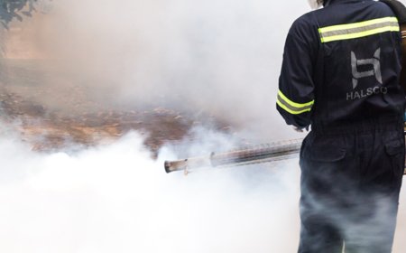 Need Pest Control Riyadh? Discover the Best Local Solutions!