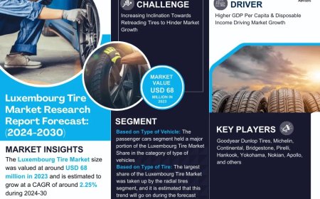 Luxembourg Tire Market Analysis 2024–2030: Size, Share & Future Outlook