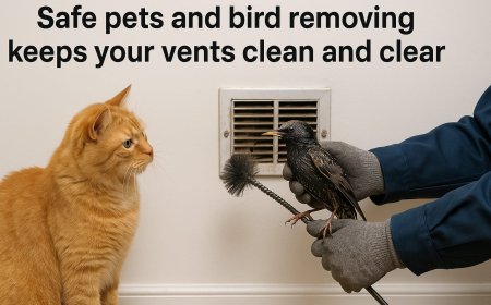 How Does Pets and Bird Removing Help Air Quality in Philadelphia