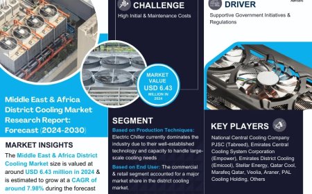 Middle East & Africa District Cooling Market Analysis 2024–2030: Size, Share & Future Outlook