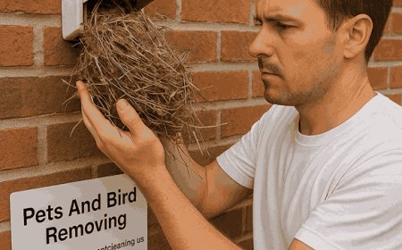 Who Offers Safe and Compassionate Pet and Bird Removal in Bellevue