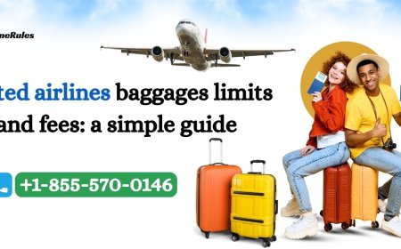United Airlines Baggage Limits & Fees: A Simple Guide