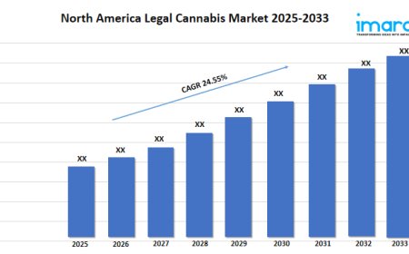 North America Legal Cannabis Market Growth  2025 | Growth, Size, and Trends Forecast by 2033