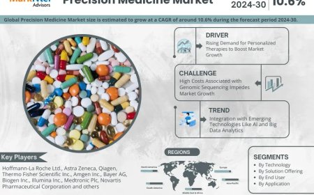 Precision Medicine Market Analysis 2024–2030: Size, Share & Future Outlook