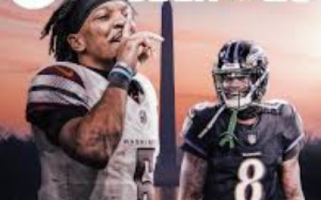 MMOEXP Classic Recommended for new players only