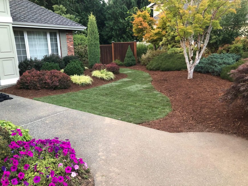 Landscape Construction Services Near Me