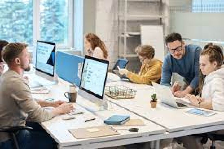 How an Accountant in Finchley Can Help You Grow Your Startup
