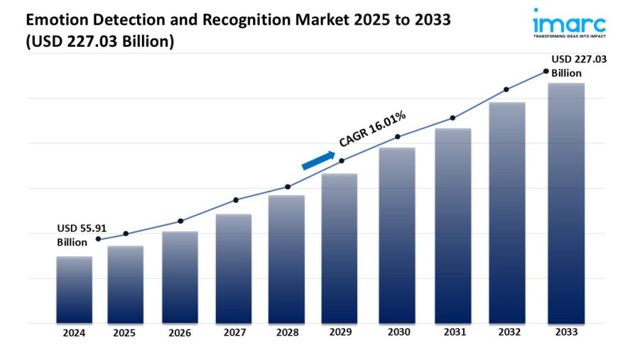 Emotion Detection and Recognition Market Growth, Share, and Forecast 2025-2033