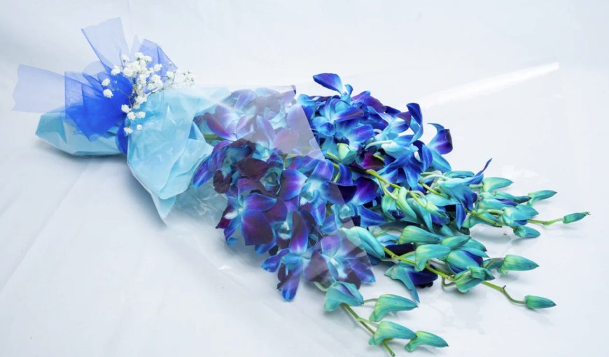 Bringing Joy to Every Doorstep with Flowers in Strathmore