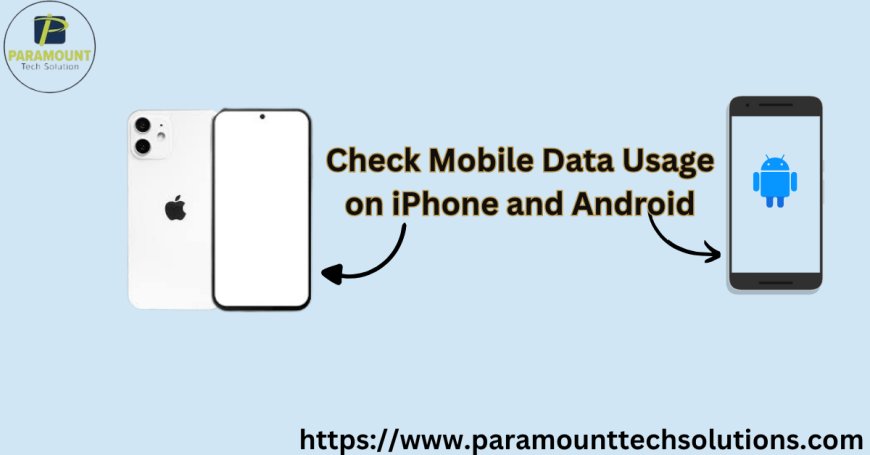 Check Mobile Data Usage on Android and iPhone