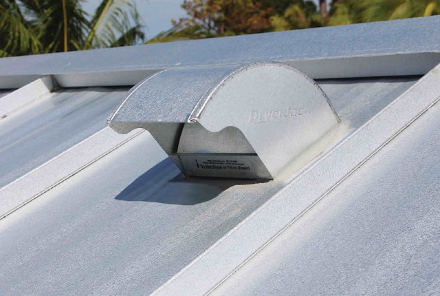 Why Cleaning the Lint Trap Extends Dryer Life in Cape Coral