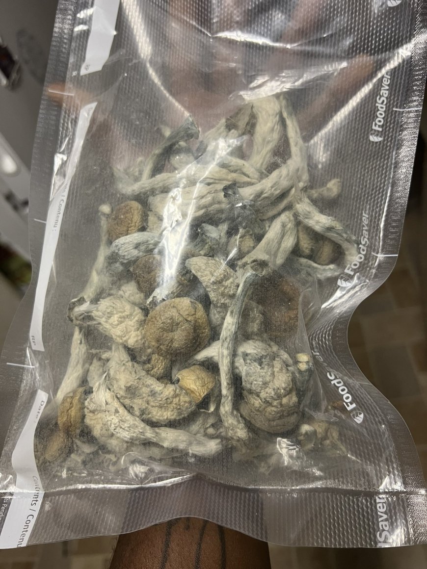 THE LEGAL STATU OF MAGIC MUSHROOM IN UK