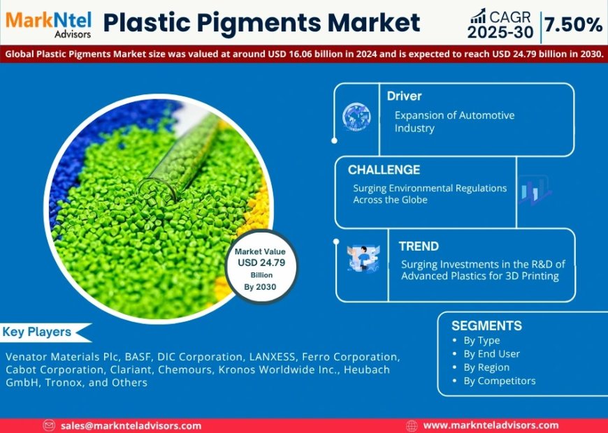 Plastic Pigments Future Business Opportunities 2025-2030 | Venator Materials Plc, BASF, DIC Corporation, LANXESS, and others
