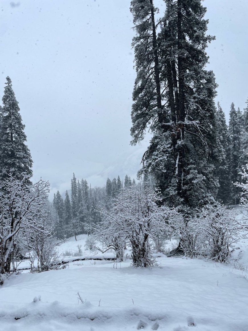 Meet Kedarnath: Your Best Himalayan Getaway With TREKBERRY