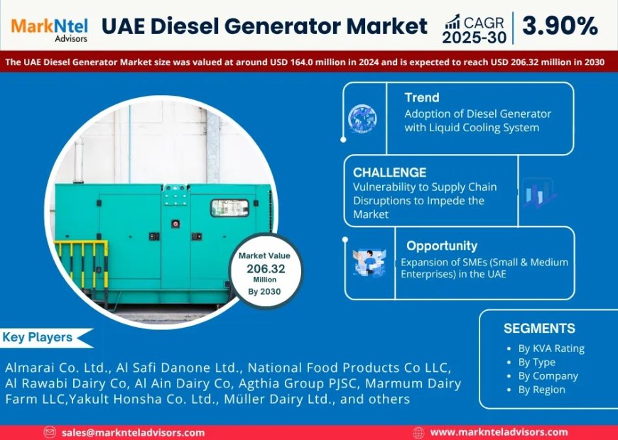 UAE Diesel Generator Future Business Opportunities 2025-2030 | Badger Mining Corp., Caterpillar Inc., Cummins Middle East FZE, FG Wilson Engineering FZE, and others