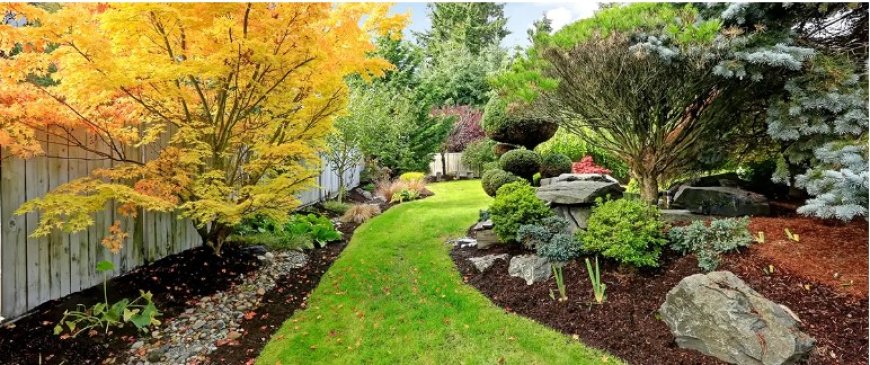 Landscaping in Manassas, VA: The Smart Way to Beautify Your Home