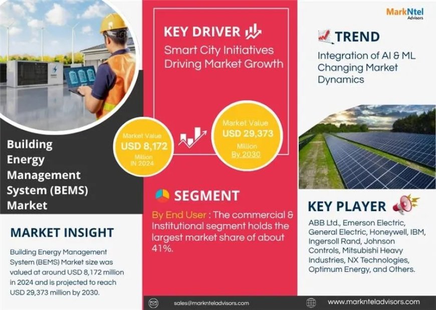 Building Energy Management System (BEMS) Market Analysis 2025–2030: Size, Share & Future Outlook