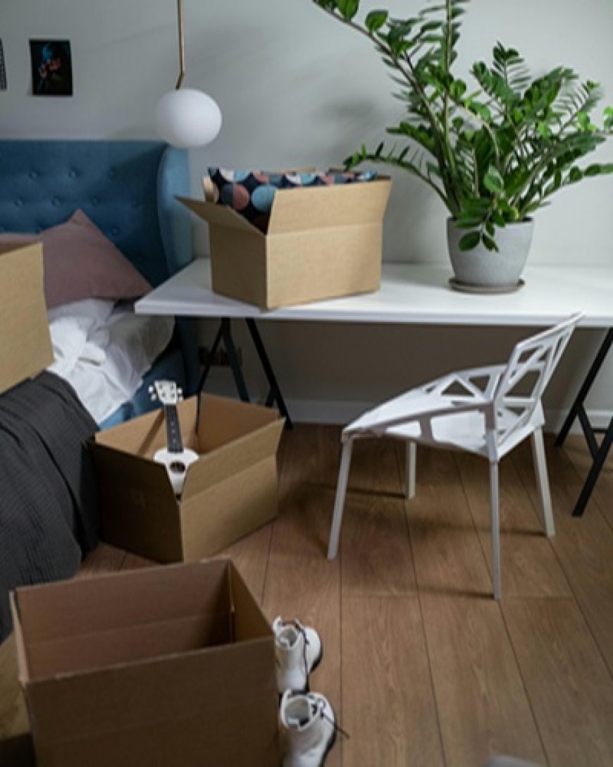 Trusted House Removalists in Melbourne: Here's Why Locals Choose Us