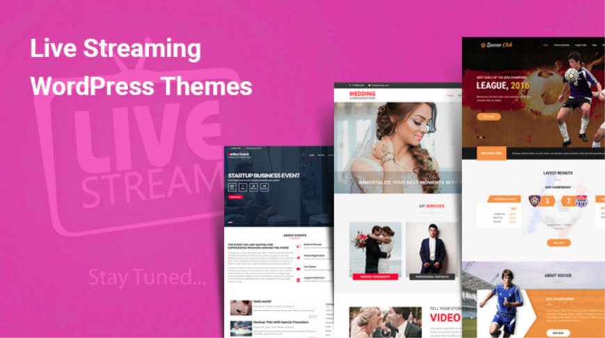 Looking for the Best Live Streaming WordPress Theme? Here's What You Need in 2025