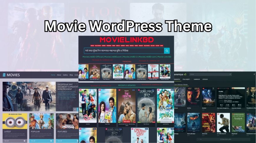 Stylish Movie WordPress Theme for Film Sites in 2025