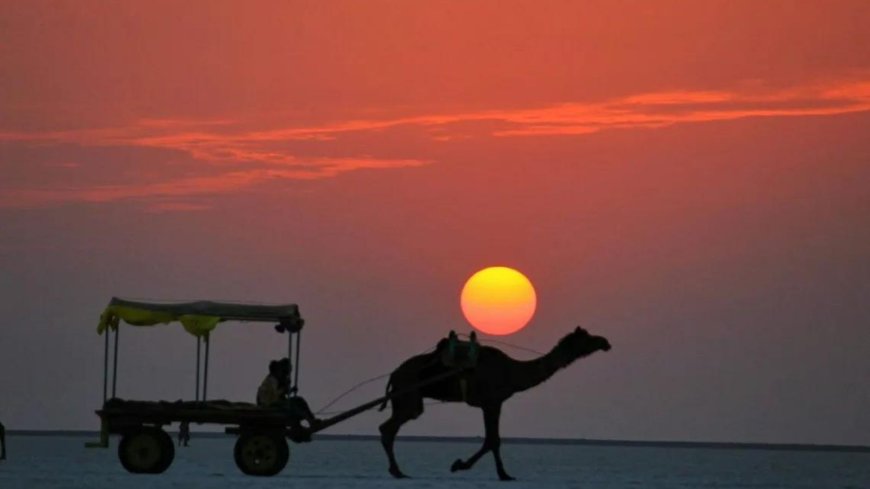 Explore Culture & Heritage with Affordable Bhuj Tour Packages