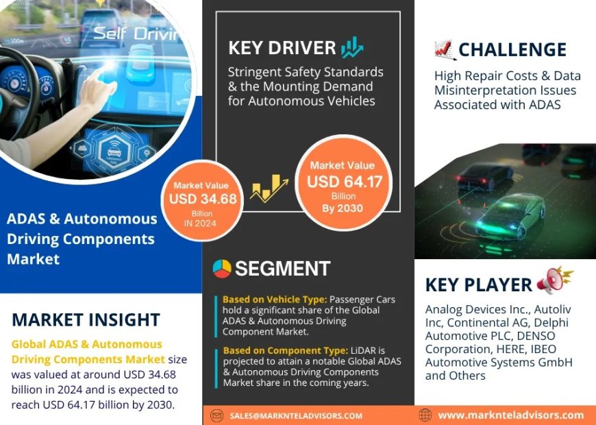 ADAS & Autonomous Driving Components Market Analysis 2025–2030: Size, Share & Future Outlook