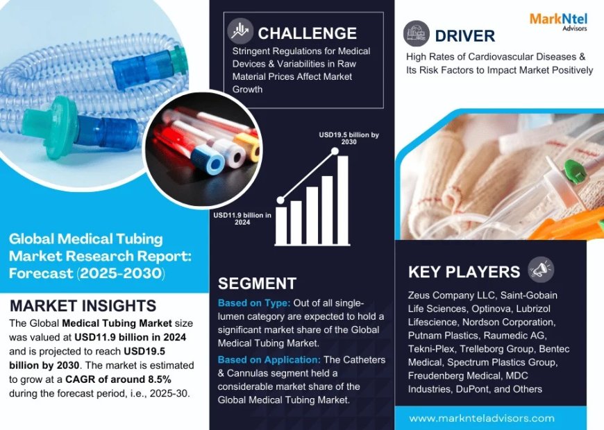 Medical Tubing Market Analysis 2025–2030: Size, Share & Future Outlook