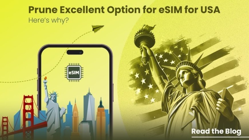 Buy United states eSIM Online