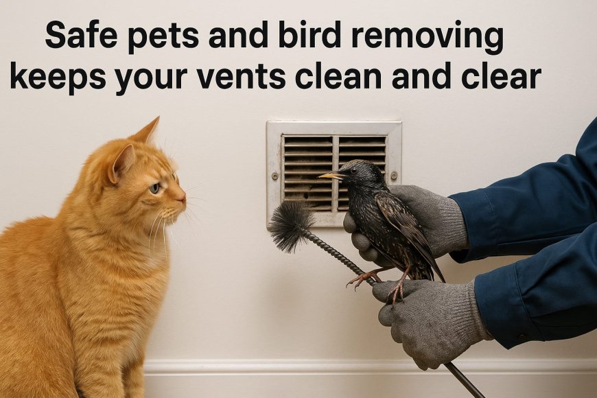 How Does Pets and Bird Removing Help Air Quality in Philadelphia