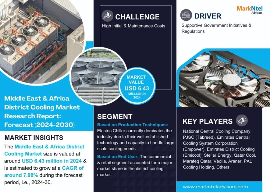 Middle East & Africa District Cooling Market Analysis 2024–2030: Size, Share & Future Outlook