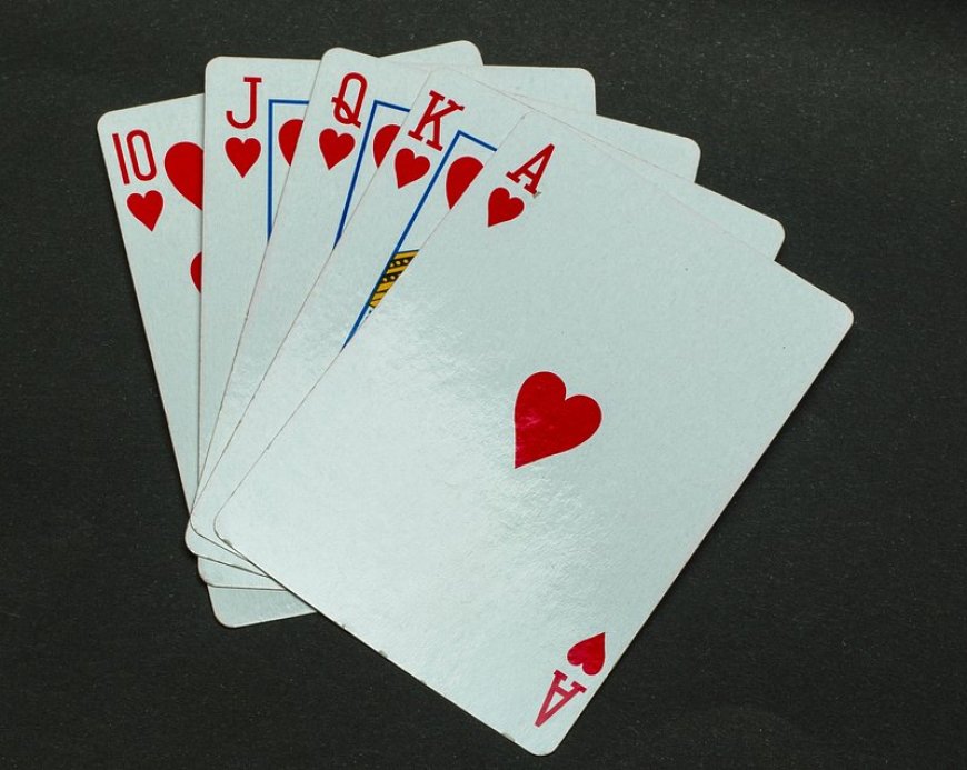 How to Deposit, Withdraw & Bet Like a Pro on 11xplay