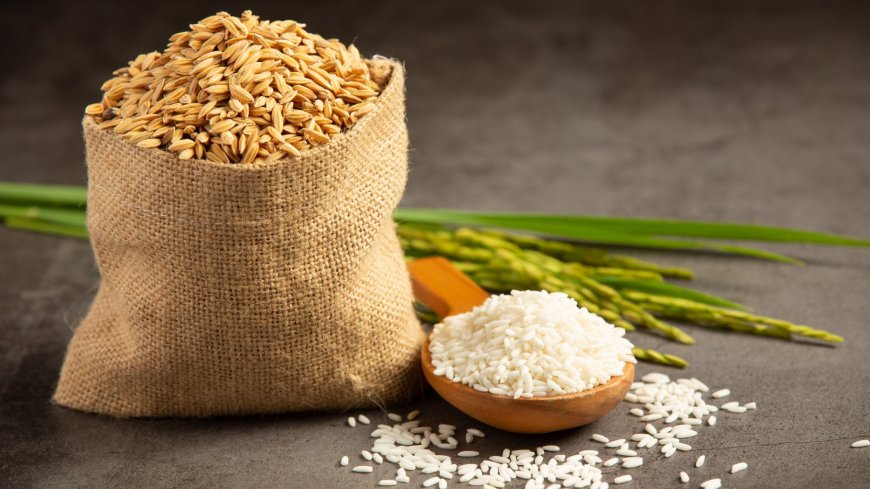 Detailed Analysis for Setting up a Fortified Rice Manufacturing Plant | Report by IMARC Group