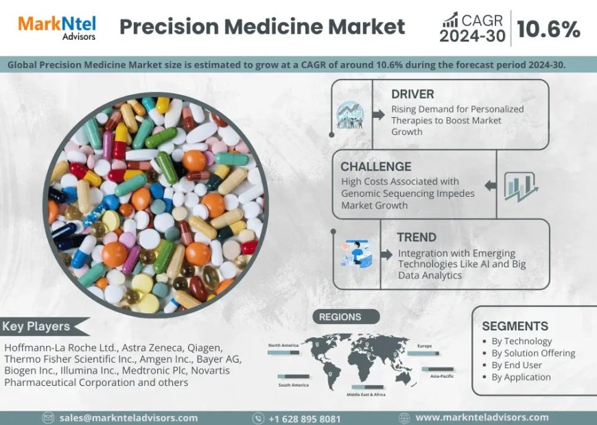 Precision Medicine Market Analysis 2024–2030: Size, Share & Future Outlook