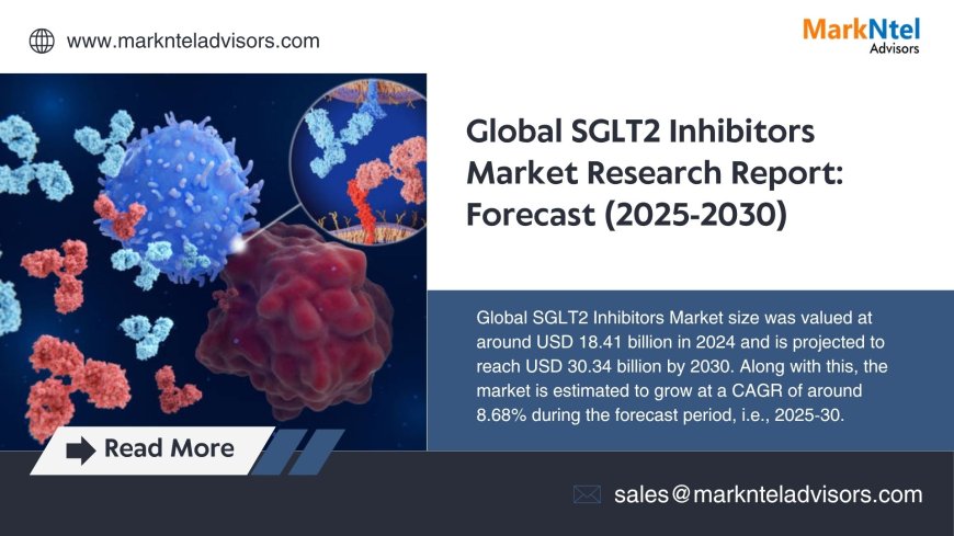 SGLT2 Inhibitors Market Scope, Volume and Executive Summary 2030