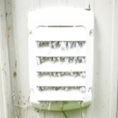 Bellevue Dryer Vent Cleaning