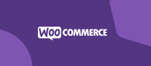 Customized Solutions Success WooCommerce Development Services